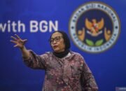 Kepala Badan Gizi Nasional (BGN) Nanik S Deyang. Foto: Antara
