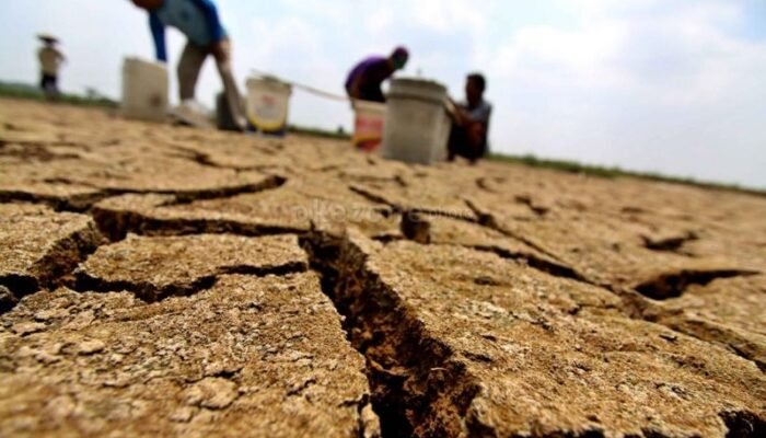 Berikut Daftar Wilayah Gorontalo yang Berpotensi Dilanda Kekeringan
