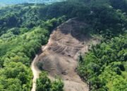 Hutan yang jadi wilayah konsesi GNJ di Gorontalo Utara yang telah dibuka. (Foto: Sarjan Lahay)
