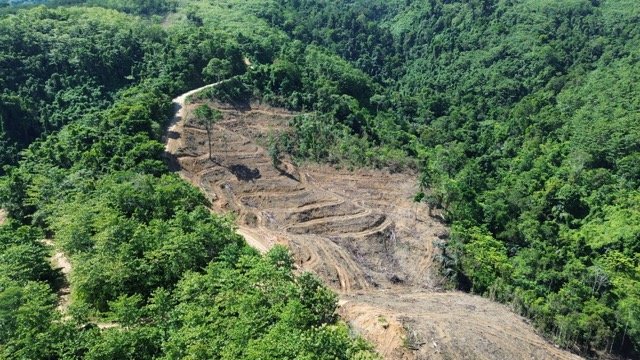 Hutan yang jadi wilayah konsesi GNJ di Gorontalo Utara yang telah dibuka. (Foto: Sarjan Lahay)
