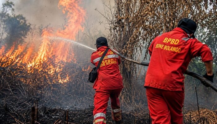 Awas! Karhutla Bisa Berawal dari Hal Sepele, Berikut Imbauan BPBD Bone Bolango