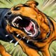 Ilustrasi - 81 Kasus Gigitan Hewan Penular Rabies Terjadi di Bolmut/Hibata.id