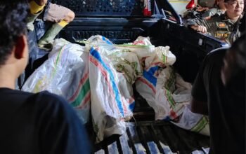 Longsor PETI DAM Pohuwato: 5 Penambang Tewas, Evakuasi Tanpa Basarnas