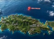 Gempa M7,7 Guncang Flores, Tsunami Mencapai 10 Pesisir