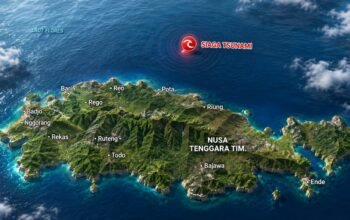 Gempa M7,7 Guncang Flores, Tsunami Mencapai 10 Pesisir
