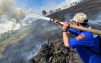 Karhutla Kalimantan Meluas, 1.487 Titik Panas Terdeteksi