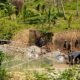 Dokumentasi aktivitas tambang emas yang diduga ilegal di bantaran Sungai Kendedes, Desa Tenilo, Kecamatan Paguyaman, Kabupaten Boalemo. (Foto: Istimewa)/Hibata.id