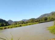 Kondisi air Sungai Voyau di Kecamatan Sangkub, Bolmut, berubah keruh meski tengah memasuki musim kemarau/Hibata.id