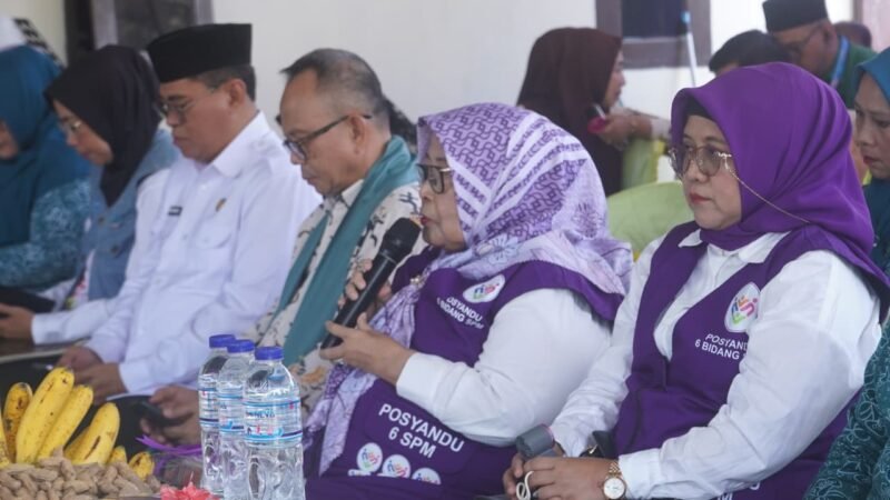 Ketua Tim Pembina Posyandu Kabupaten Bone Bolango Ruwaida Ismet Mile menyampaikan keyakinan tersebut/Hibata.id