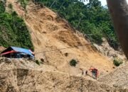 Lokasi longsor di kawasan pertambangan emas tanpa izin (PETI) DAM, Desa Hulawa, Kecamatan Buntulia, Kabupaten Pohuwato, (Foto: istw)