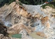 Bukan Hanya Lima, Puluhan Penambang Diduga Tertimbun Longsor di Tambang DAM Pohuwato