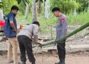 Lokasi Sabung Ayam di Desa Milangodaa, Kecamatan Popayato Timur. (Foto: Polisi)