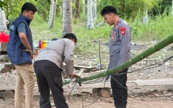 Arena Sabung Ayam di Popayato Timur Digerebek, Pelaku Kabur Pontang-Panting