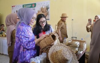 Pelatihan kerajinan anyaman eceng gondok di Aula Dinas Perindustrian dan Tenaga Kerja Kota Kotamobagu. (Foto: Humas)