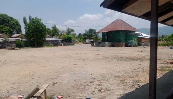 Bekerja Sejak 2021, Pekerja PT Perkebunan Lebuni Klaim Di-PHK Tanpa Hak yang Sama
