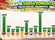 Tomat Mulai Naik, Berikut Daftar Harga Pangan di Pasar Bone Bolango/Hibata.id
