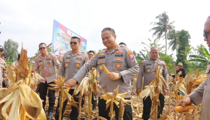 Ketika Polisi dan Petani Kompak, Satu Ton Jagung Dipanen di Samarinda