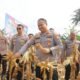 Kapolresta Samarinda Kombes Pol Hendri Umar memimpin panen jagung bersama Kelompok Tani Barokah/Hibata.id