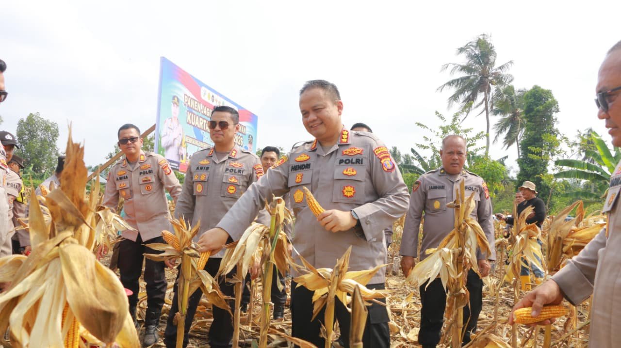 Kapolresta Samarinda Kombes Pol Hendri Umar memimpin panen jagung bersama Kelompok Tani Barokah/Hibata.id