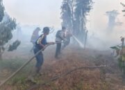 Tim gabungan memadamkan kebakaran lahan sekitar tiga hektare di Rawa Makmur, Palaran, Samarinda. Tidak ada korban dalam kejadian tersebut/Hibata.id