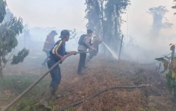 Tim gabungan memadamkan kebakaran lahan sekitar tiga hektare di Rawa Makmur, Palaran, Samarinda. Tidak ada korban dalam kejadian tersebut/Hibata.id