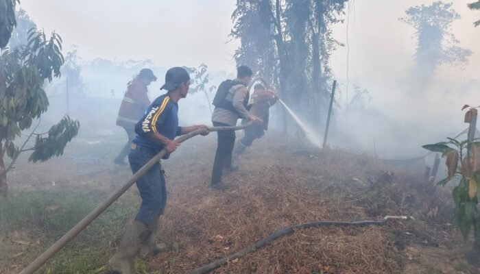 Palaran Membara, Tim Gabungan Berjibaku Padamkan Kebakaran Lahan