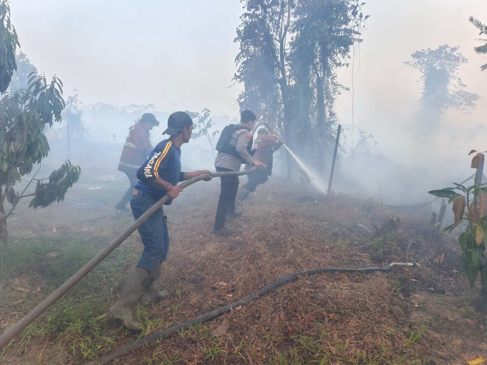 Tim gabungan memadamkan kebakaran lahan sekitar tiga hektare di Rawa Makmur, Palaran, Samarinda. Tidak ada korban dalam kejadian tersebut/Hibata.id