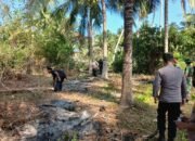 Kebakaran melanda sekitar satu hektare lahan perkebunan di Desa Maleo, Paguat, Pohuwato. Petugas gabungan berhasil memadamkan api tanpa korban jiwa/Hibata.id