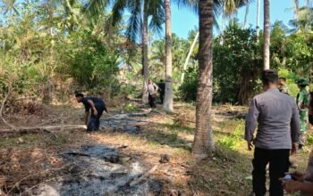 Cuaca Panas, Kebun Ikut Menyala: Satu Hektare Lahan di Paguat Terbakar