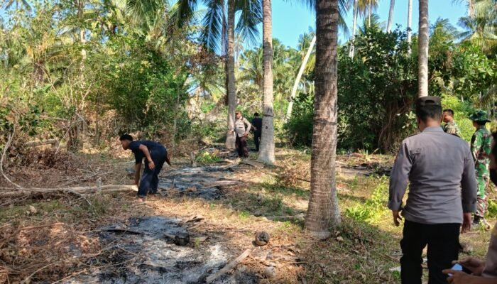 Cuaca Panas, Kebun Ikut Menyala: Satu Hektare Lahan di Paguat Terbakar