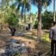 Kebakaran melanda sekitar satu hektare lahan perkebunan di Desa Maleo, Paguat, Pohuwato. Petugas gabungan berhasil memadamkan api tanpa korban jiwa/Hibata.id