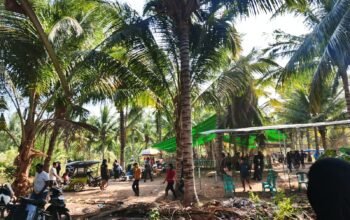 Belum Naik Ring, Polisi Sudah Tiba: Lokasi Sabung Ayam di Paguat Ditertibkan
