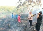 Kebakaran melanda sekitar 0,2 hektare lahan di Sepinggan, Balikpapan Selatan. Satgas Karhutla bersama BPBD, TNI dan Polri bergerak memadamkan api/Hibata.id