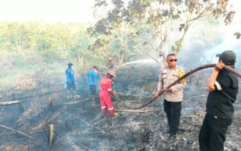 Kebakaran melanda sekitar 0,2 hektare lahan di Sepinggan, Balikpapan Selatan. Satgas Karhutla bersama BPBD, TNI dan Polri bergerak memadamkan api/Hibata.id