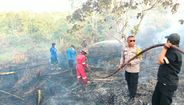 Api Melahap Lahan di Sepinggan, Satgas Karhutla Balikpapan Gerak Cepat