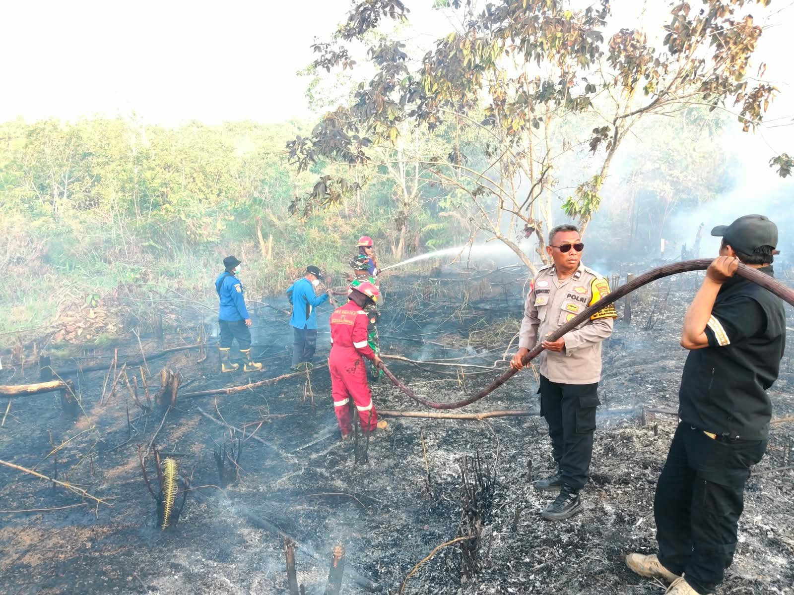 Kebakaran melanda sekitar 0,2 hektare lahan di Sepinggan, Balikpapan Selatan. Satgas Karhutla bersama BPBD, TNI dan Polri bergerak memadamkan api/Hibata.id