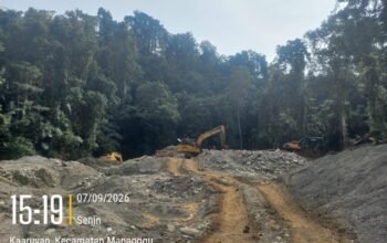 Sejumlah alat berat jenis ekskavator diduga beroperasi di kawasan hutan Kaayuran, Kecamatan Mananggu, Kabupaten Boalemo. (Foto: istw)