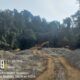 Sejumlah alat berat jenis ekskavator diduga beroperasi di kawasan hutan Kaayuran, Kecamatan Mananggu, Kabupaten Boalemo. (Foto: istw)