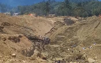 Potongan Video yang memperlihatkan seorang warga diduga tertimbun material tanah di lokasi pertambangan emas tanpa izin (PETI) beredar di media sosial.