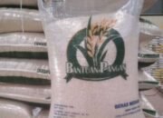 Penerima Bertambah, Kotamobagu Dapat Alokasi 379,2 Ton Bantuan Pangan