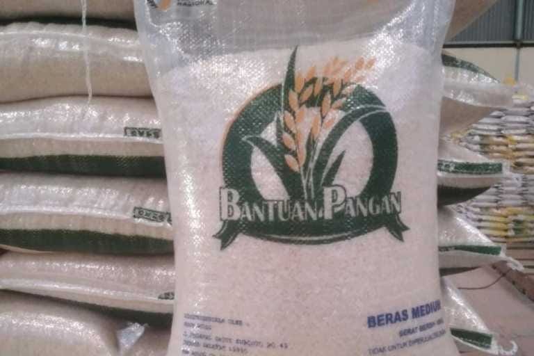 bantuan pangan berupa beras