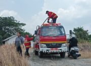 Kebakaran lahan terjadi di kawasan Green Palm, Samarinda Ulu. Tim gabungan memadamkan api yang berdampak pada sekitar satu hektare lahan/Hibata.id