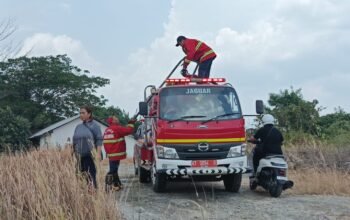 Kebakaran lahan terjadi di kawasan Green Palm, Samarinda Ulu. Tim gabungan memadamkan api yang berdampak pada sekitar satu hektare lahan/Hibata.id