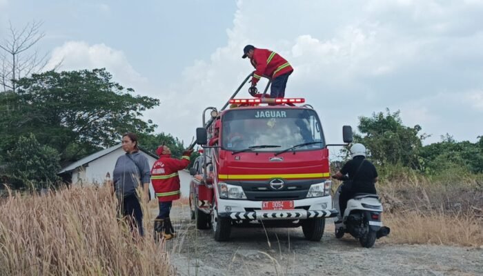 Api Meluas di Green Palm Samarinda, Satu Hektare Lahan Terbakar
