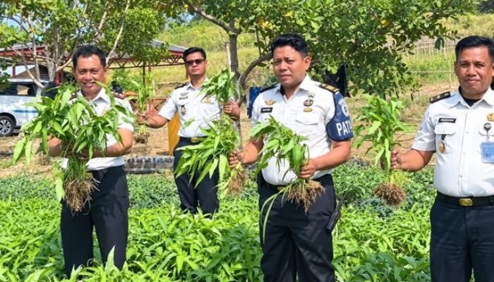 Dari Balik Lapas, Warga Binaan Pohuwato Belajar Bertani untuk Bekal Setelah Bebas