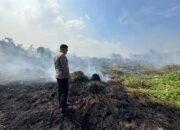 Kebakaran melanda lahan di Desa Sungai Bawang, Muara Badak, Kutai Kartanegara. Polisi, relawan, dan petugas damkar dikerahkan untuk mengendalikan api/Hibata.id