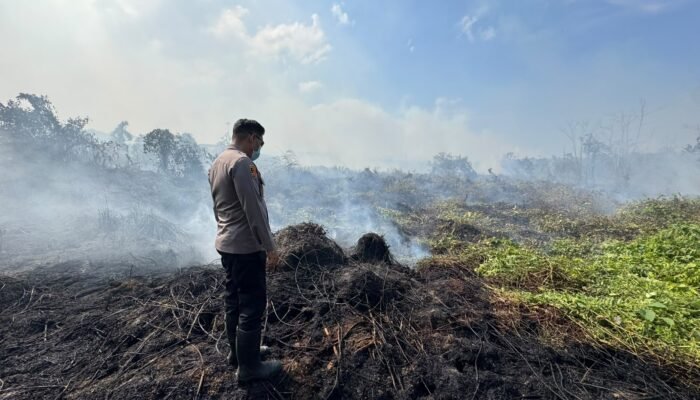 Lahan Muara Badak Dilalap Api, Polisi hingga Damkar Turun Tangan