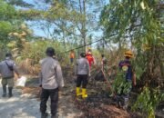 Kebakaran Lahan di Manggar Balikpapan Berhasil Dipadamkan Petugas/Hibata.id