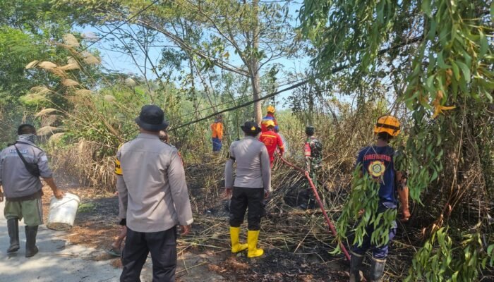 Kebakaran Lahan di Manggar Balikpapan Berhasil Dipadamkan Petugas