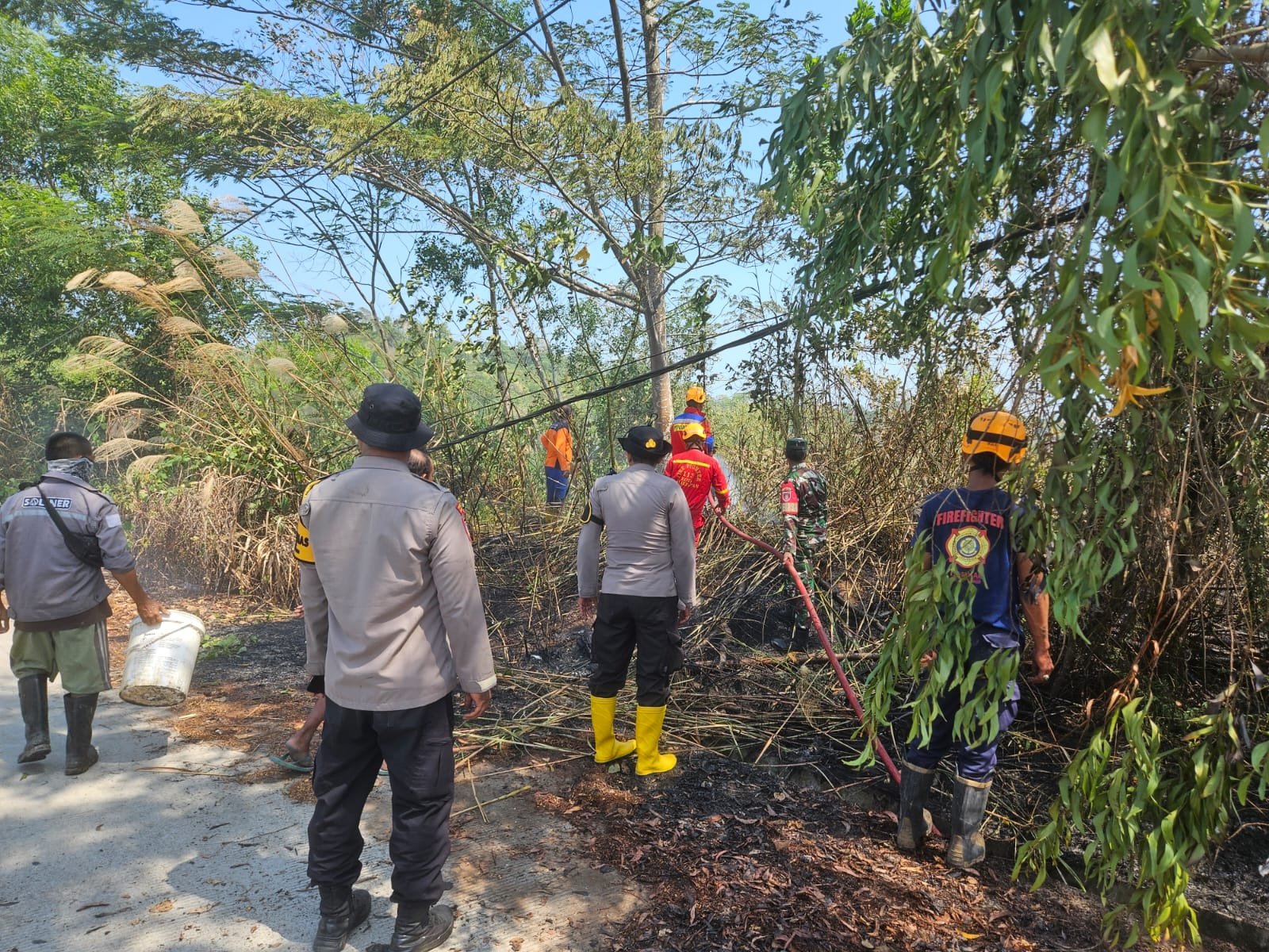 Kebakaran Lahan di Manggar Balikpapan Berhasil Dipadamkan Petugas/Hibata.id